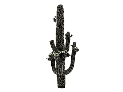 Bonsai Potted Cactus Plant With Branched Structure And Small Flowers For Indoor Decoration 3d model