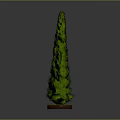 Tall Conical Green Potted Plant With Round Base For Garden Decoration