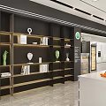 School Learning Space With Bookshelves Books Sculptures Plants And White Counter