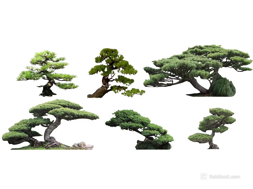 Various Shaped Bonsai Trees With Unique Branch Structures And Lush Foliage 3d model 