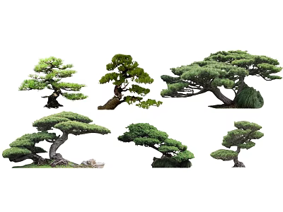 Various Shaped Bonsai Trees With Unique Branch Structures And Lush Foliage 3d model