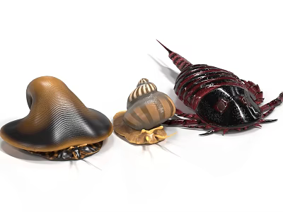 Three Different Horseshoe Crabs With Brown Striped And Dark Red Shells 3d model