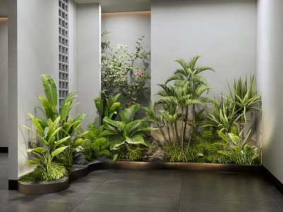 Modern Plant Combinations 3d model