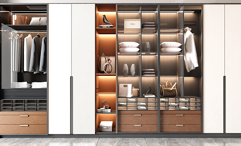 Modern wardrobe combination 3d model