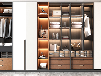 Modern wardrobe combination 3d model