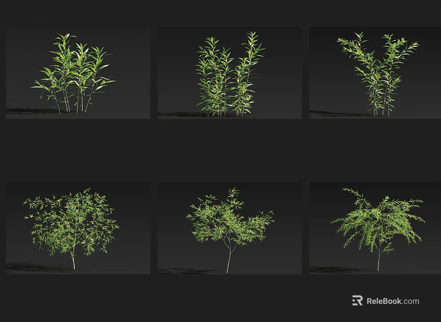 Various Arbor Tree Types In Different Growth Forms And Leaf Structures 3d model