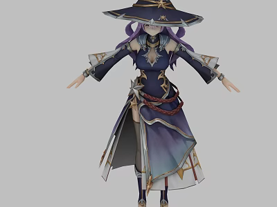 Fantasy Game Character With Purple Hair Wide Brim Hat Elaborate Robe And Decorative Sash 3d model