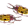 Two Yellow And Red Beetles With Intricate Patterns And Large Horns 3d model