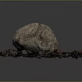 Brain Shaped Coral Specimen with Red and Gray Stones and Bottom Tag
