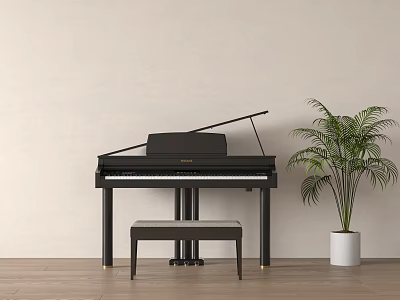 Elegant Black Piano Interior With Light Wall Wooden Floor And Green Plant 3d model