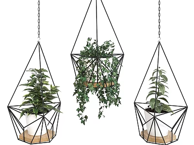 Hanging Geometric Metal Frame Planters With Green Plants For Garden Decor 3d model
