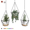 Hanging Geometric Metal Frame Planters With Green Plants For Garden Decor