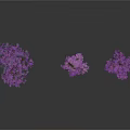 Three Purple Trees With Purple Foliage On White Background And Clear Reflections