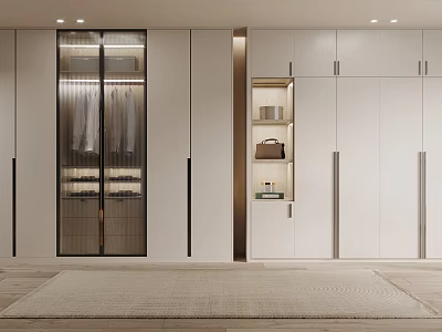 Modern Sleek Wardrobe Interior Design With Glass Doors White Cabinetry And Metal Handles 3d model