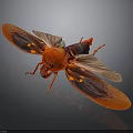 Vibrant Red Beetle With Transparent Red Wings On Dark Background
