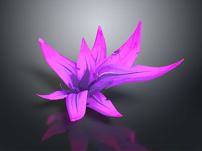 Glossy Pink Flower With Long Slender Petals On Dark Background And Reflection 3d model