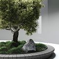 Modern Tree Landscape Tree 3d model