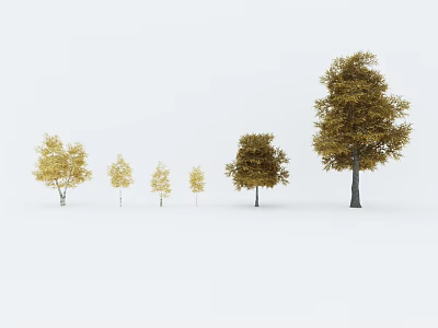 Trees of Various Sizes with Golden Yellow Leaves Arranged in a Row in Snowy Background 3d model