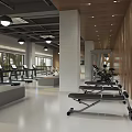 Spacious Gym Interior With Fitness Equipment And Treadmills