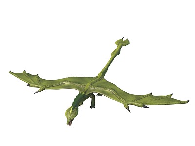 Dinosaur Pterosaur Flying Animal Western Dragon Fire Dragon Green Dragon Bat Wings Flying Dragon 3d model