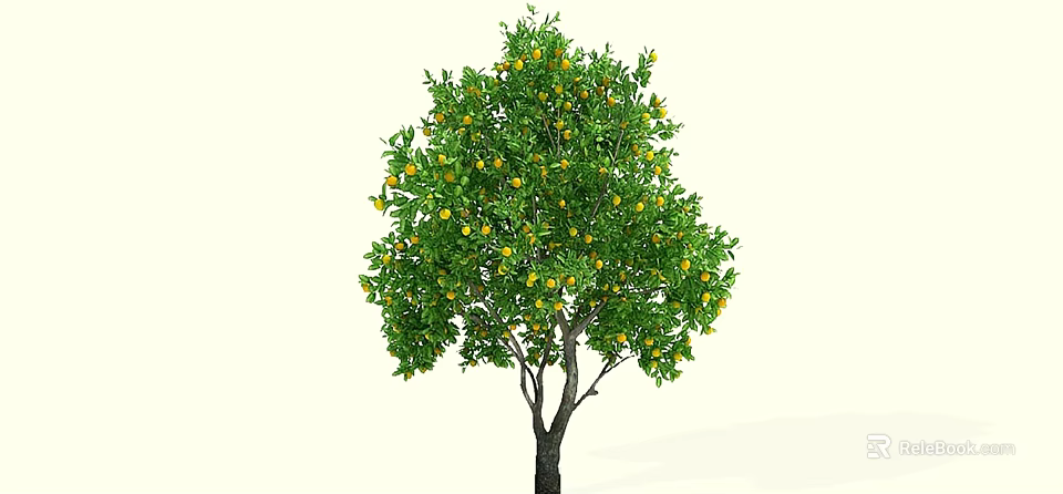 Lush Fruit Arbor Featuring Green Leaves Ripe Yellow Fruits and Strong Trunk 3d model 