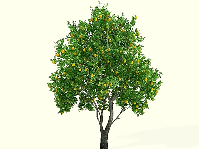 Lush Fruit Arbor Featuring Green Leaves Ripe Yellow Fruits and Strong Trunk 3d model