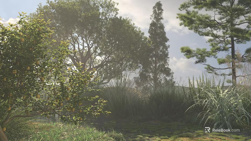 Tall Arbor Trees in Misty Natural Scene with Lush Grass Water Pond and Cloudy Sky 3d model 