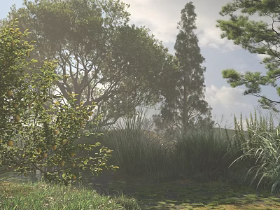 Tall Arbor Trees in Misty Natural Scene with Lush Grass Water Pond and Cloudy Sky 3d model
