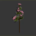 Elegant Pink Floral Arrangement With Green Leaves And Decorative Stem Design