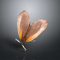 Butterfly With Brown And Orange Spread Wings On Dark Background And Reflection