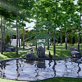 Scenic Park Landscape With Tall Trees Sunlight Filtering Through Leaves Pond And Rocks Reflections