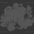 Lush Tall Tree with Dense Green Foliage and Curved Trunk with Small Silhouette