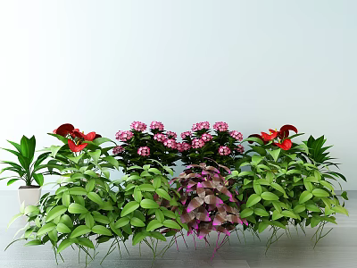 Vibrant Indoor Flower Arrangement With Red Pink Blooms And Lush Green Foliage Plants 3d model