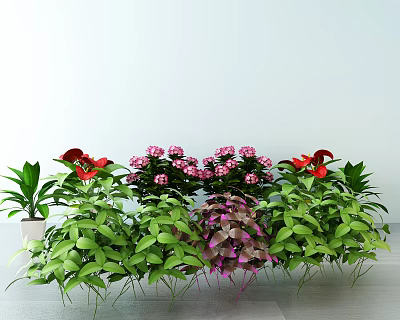Vibrant Indoor Flower Arrangement With Red Pink Blooms And Lush Green Foliage Plants 3d model