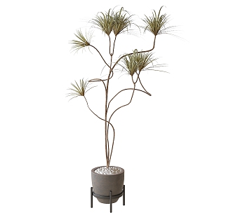 potted plant bonsai plant ornaments green plant 3d model