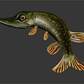 Pike Fish Figurine Displaying Green Body Yellow Spots Orange Fins on Dark Background with Reflection