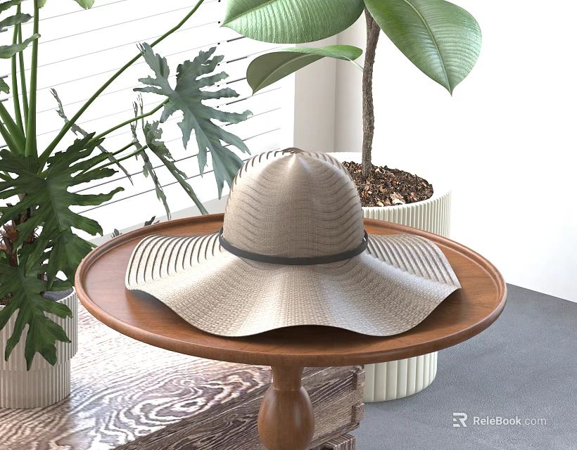 Wide Brim Straw Hat On Wooden Table With Green Plants 3d model 