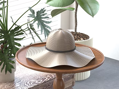 Wide Brim Straw Hat On Wooden Table With Green Plants 3d model