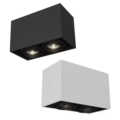 Sleek Modern Black And White Square Downlights Spotlights With Double Light Heads Design 3d model