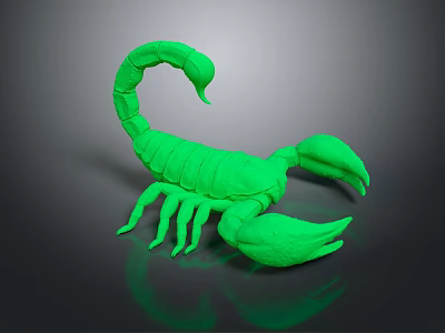 Detailed Green Scorpion Model Isolated on Black Background with Glossy Surface 3d model