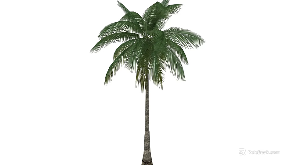 Tall Green Palm Tree With Lush Fronds And Straight Trunk In Natural Growth 3d model 