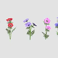 Vibrant Colorful Flowers with Green Stems Arranged in a Row