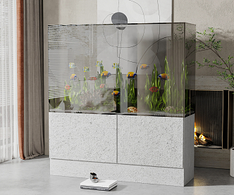 Modern Fish Tank Household Glass Bathtub 3d model