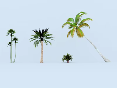 Various Palm Trees With Different Sizes Shapes And Green Foliage Trunks 3d model
