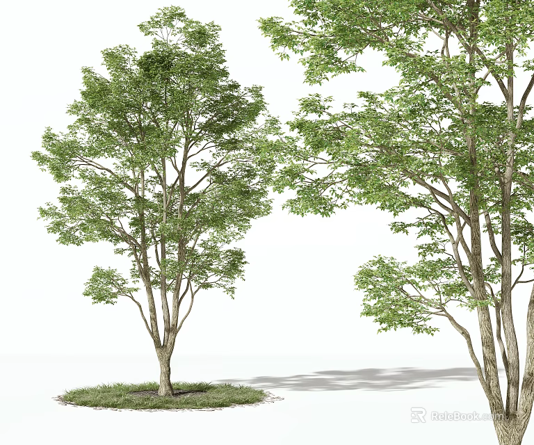 Green Arbor With Lush Foliage And Strong Trunks In Natural Environment 3d model 