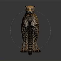 Cheetah With Spotted Yellow Fur Standing On Gray Background With Reflection 3d model