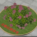 Pink Hydrangea Flowers With Green Leaves Growing In Lush Garden Grass