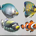 Colorful Tropical Aquatic Animals With Diverse Patterns Vibrant Colors And Distinct Features 3d model