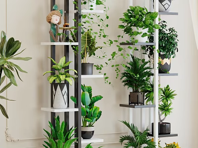 Bonsai and Potted Plants Arranged on Multi Tiered Shelves with Decorative Pots and Various Green Foliage 3d model