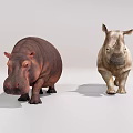 Realistic Hippopotamus And Rhinoceros Figurines Standing Side By Side On White